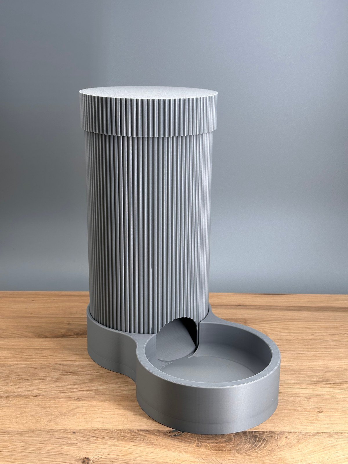 Dispensador de Comida Seca