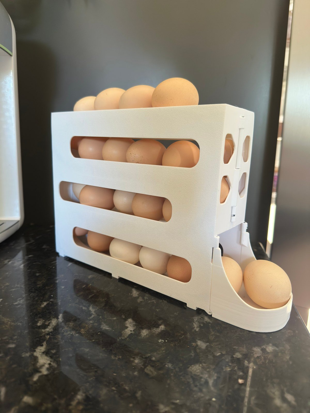 Dispensador de Huevos para Heladera Organizador 22 Unidades