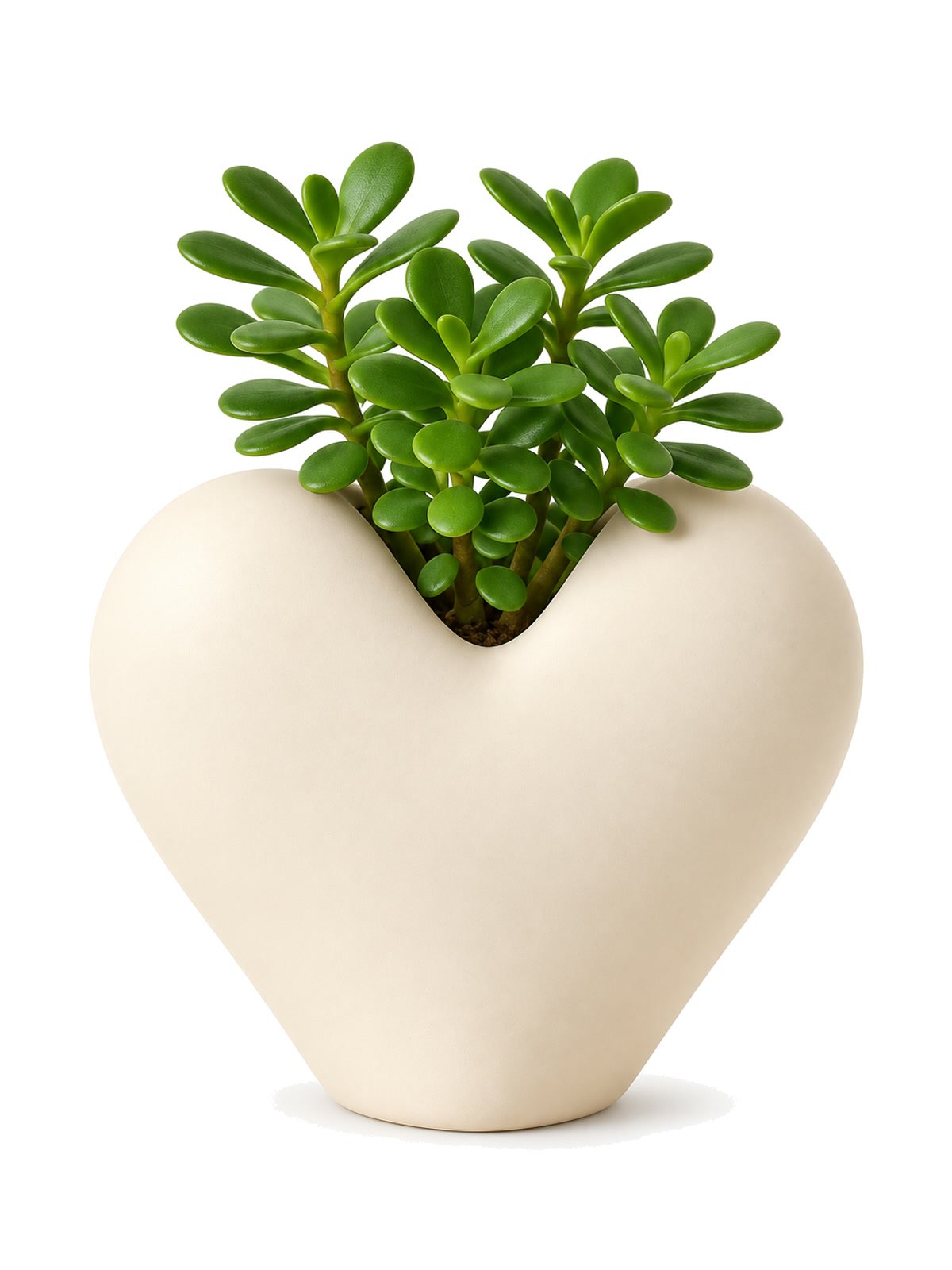 Maceta Corazón Florero Color Manteca Regalo Día de la Madre